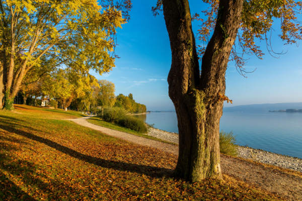 scenic path